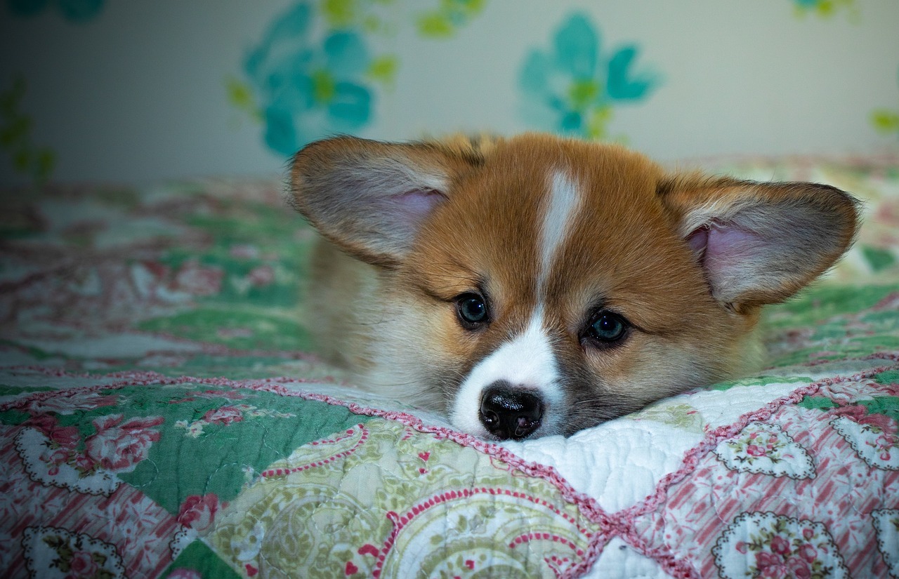 99exch Review: Features, Security, Fees & Future Outlook of the Emerging Crypto Exchange